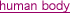 human body